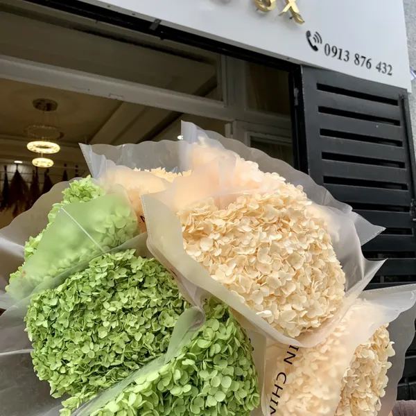 CẨM TÚ CẦU