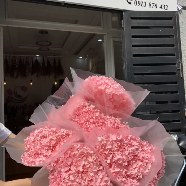 CẨM TÚ CẦU