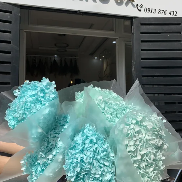 CẨM TÚ CẦU