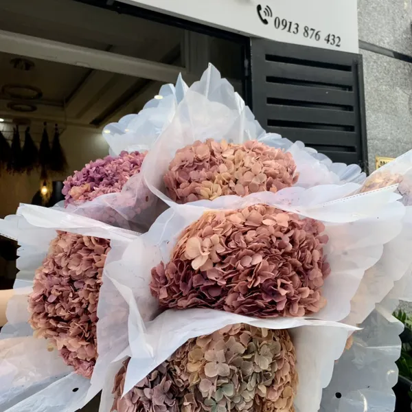 CẨM TÚ CẦU