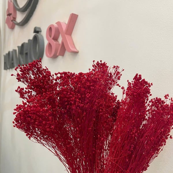 GROOM BLOOM ( BABY THÂN GỖ)