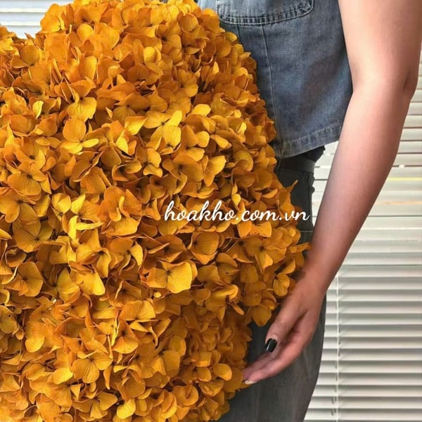 CẨM TÚ CẦU KHÔ CÁNH TO