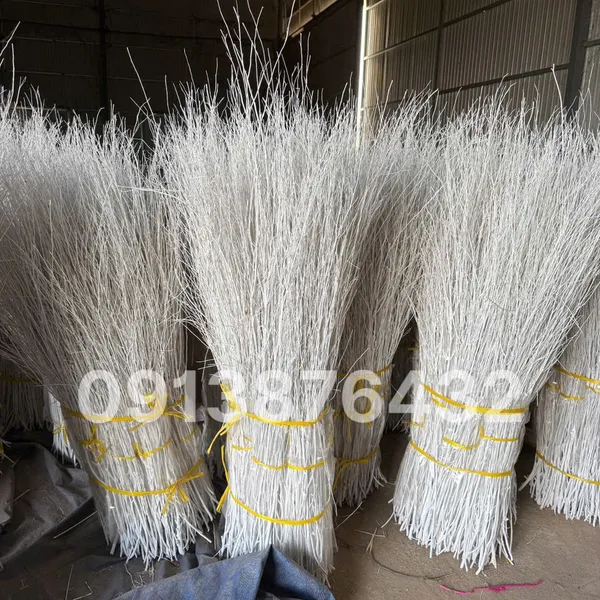 CÂY SALIX KHÔ ( CÂY XƯƠNG TRẮNG)