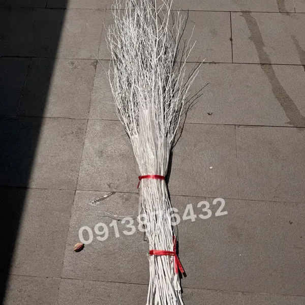 CÂY SALIX KHÔ ( CÂY XƯƠNG TRẮNG)