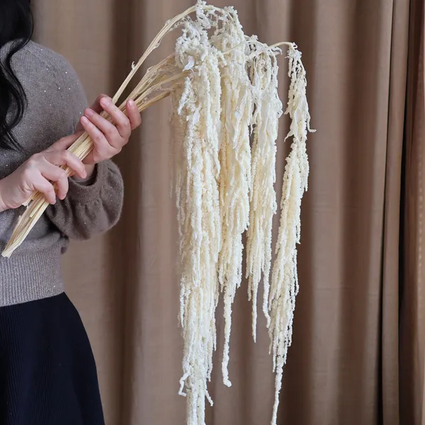 DỀN RŨ TRẮNG
