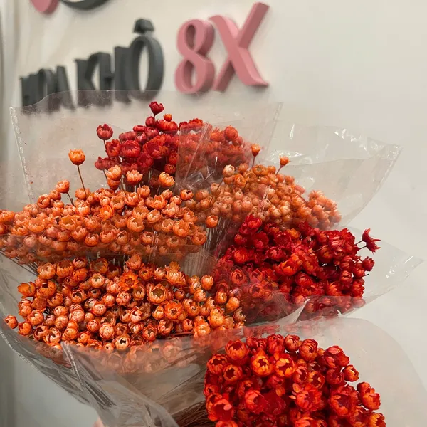 GLIXIA (TUYẾT NHIỆT ĐỚI)