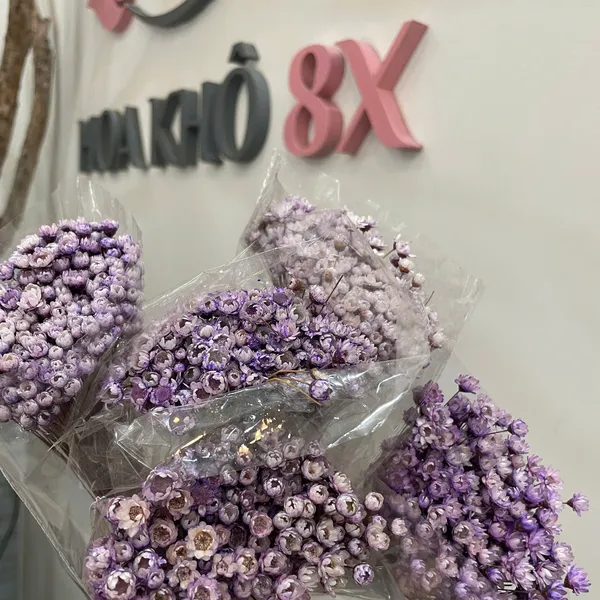 GLIXIA (TUYẾT NHIỆT ĐỚI)