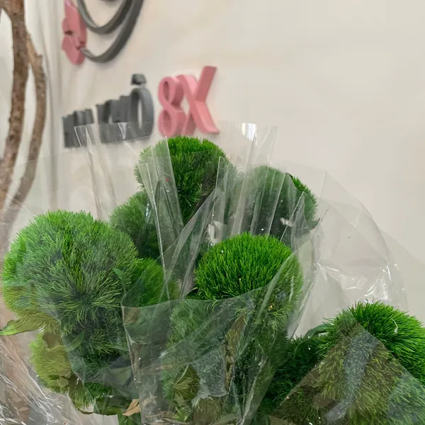 GREEN WICKY (CẦU LÔNG XANH)