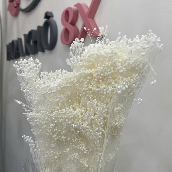 GROOM BLOOM ( BABY THÂN GỖ)