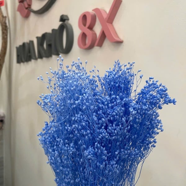 GROOM BLOOM ( BABY THÂN GỖ)