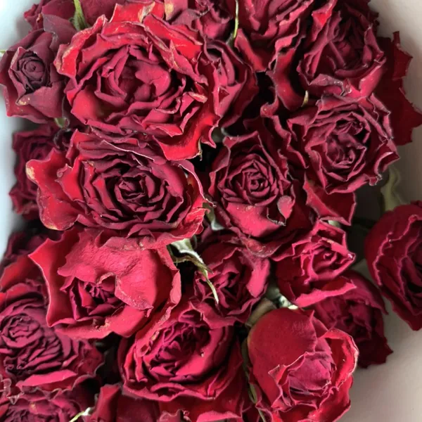 HOA HỒNG KHÔ TỰ NHIÊN