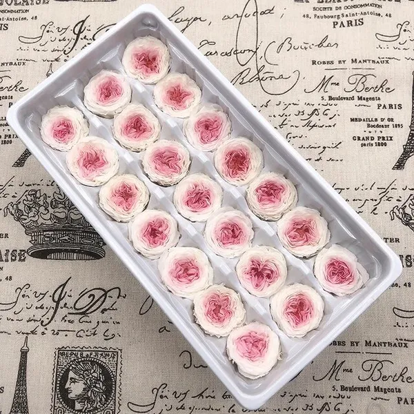 Dried Roses