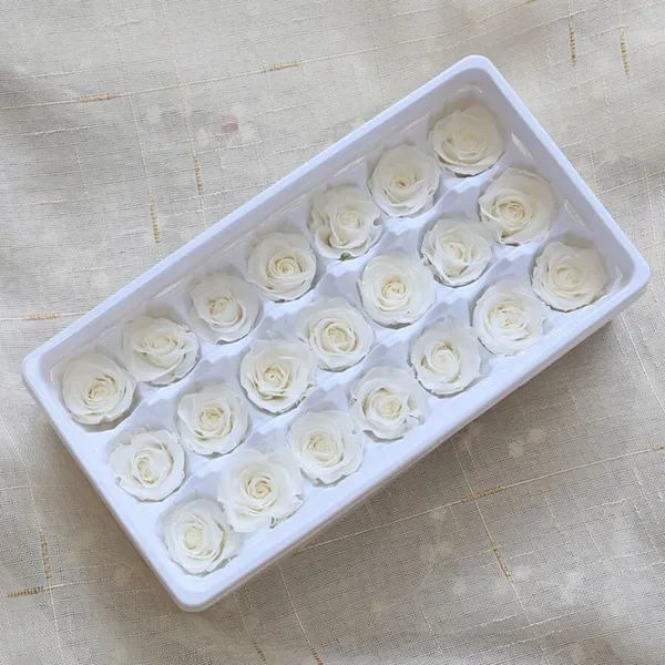 Dried Roses