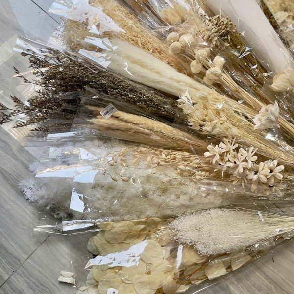HOA KHÔ MÀU TRẮNG