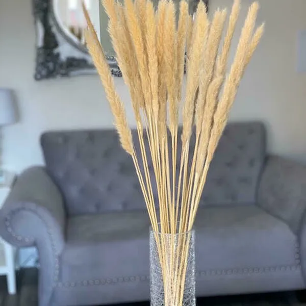 HOA LAU MINI