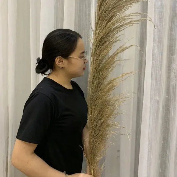 HOA LAU RỪNG