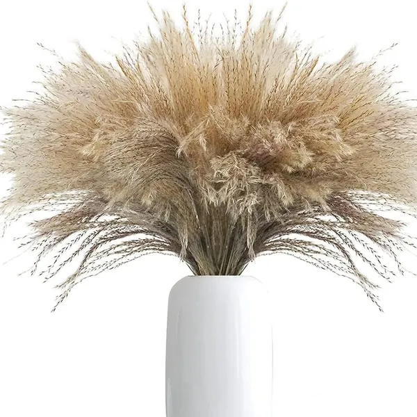 Dried reed flower