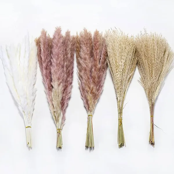 Dried reed flower