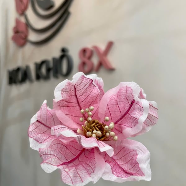 Hoa mẫu đơn cánh bướm