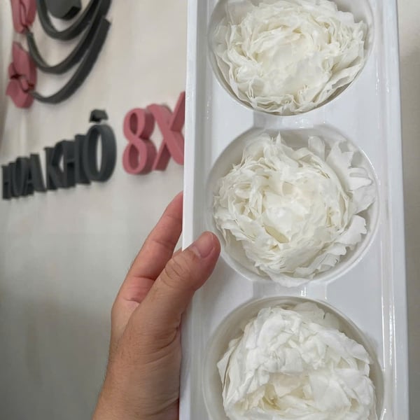 MẪU ĐƠN KHÔ