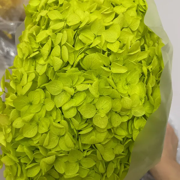 Hoa Khô Tone Xanh Lá