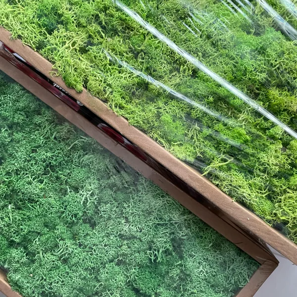 Hoa Khô Tone Xanh Lá