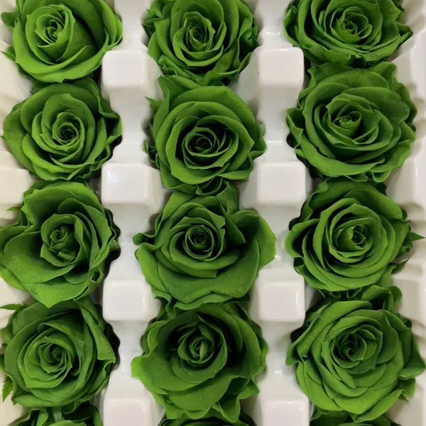 Hoa khô tone Xanh Lá