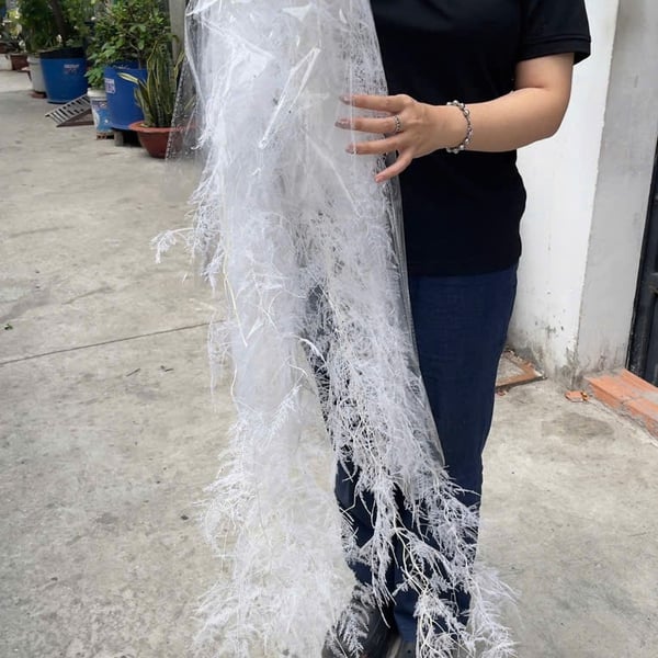 KIM THỦY TÙNG KHÔ