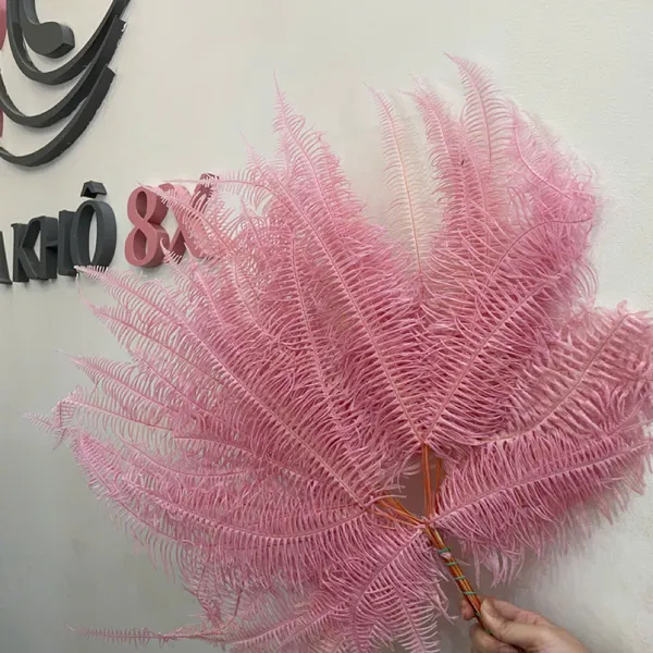 LÁ DƯƠNG XỈ KHÔ