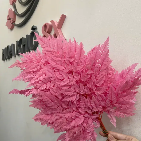LÁ DƯƠNG XỈ PHÁP