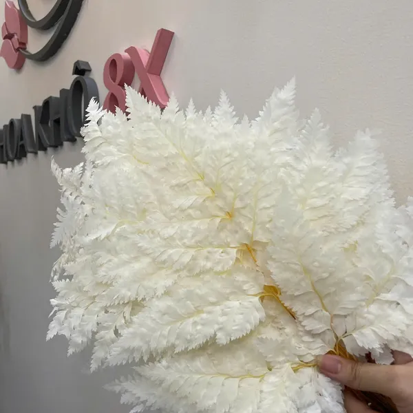 LÁ DƯƠNG XỈ PHÁP