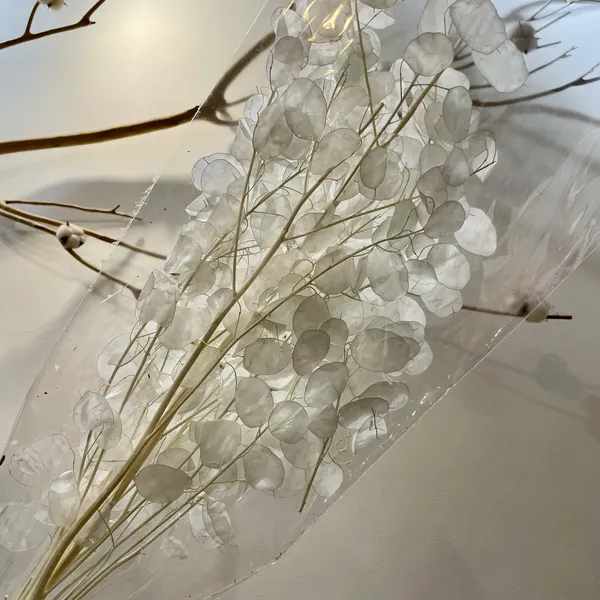 LÁ LUNARIA