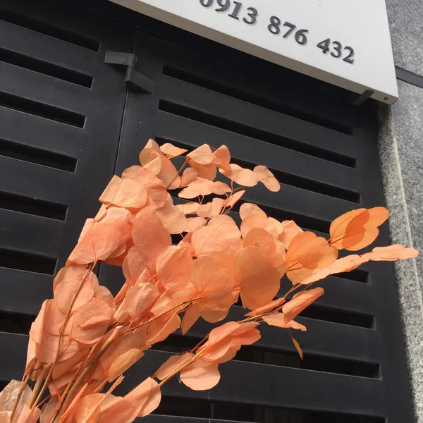 Dried elephant ear leaves