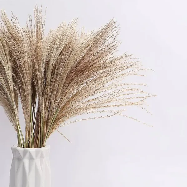 Dried reed flower