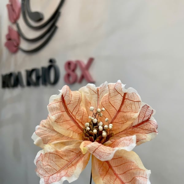 Hoa mẫu đơn cánh bướm