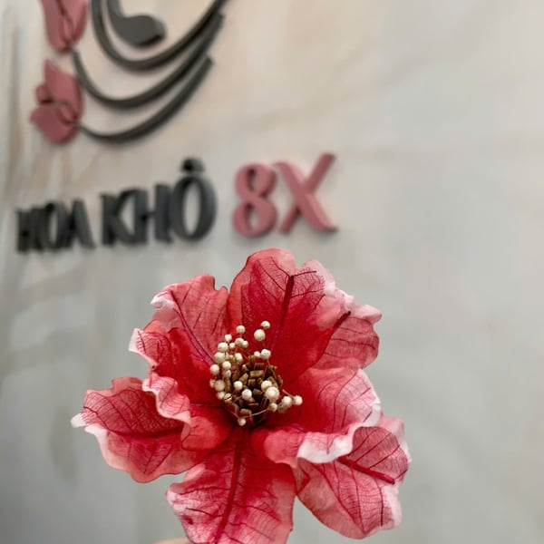 Hoa mẫu đơn cánh bướm