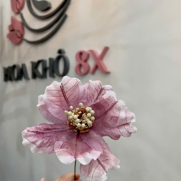 Hoa mẫu đơn cánh bướm