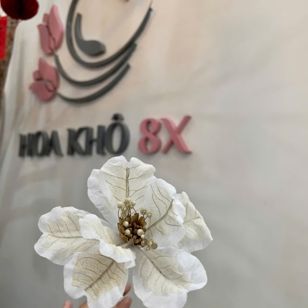 Hoa mẫu đơn cánh bướm