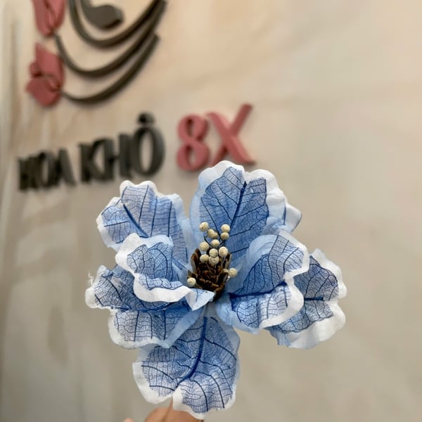 Hoa mẫu đơn cánh bướm