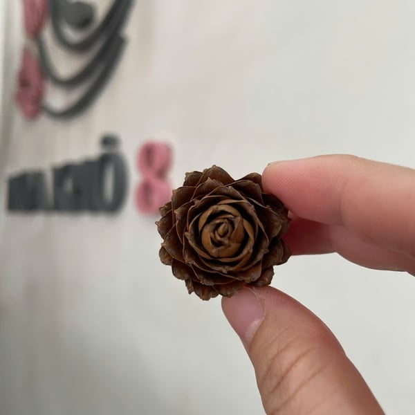 TRÁI THÔNG MINI