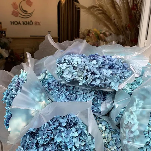 CẨM TÚ CẦU
