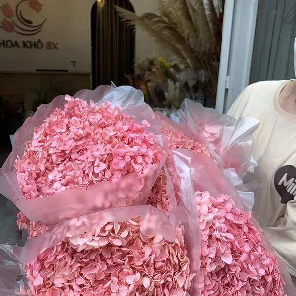 CẨM TÚ CẦU