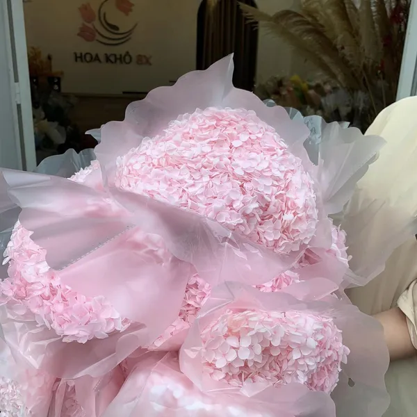 CẨM TÚ CẦU