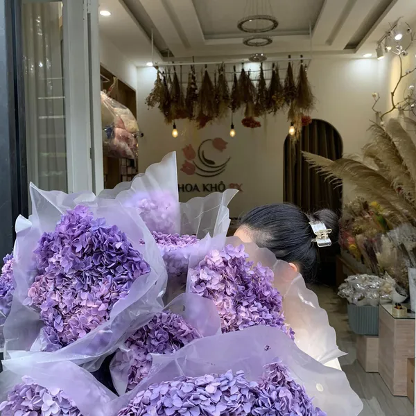 CẨM TÚ CẦU