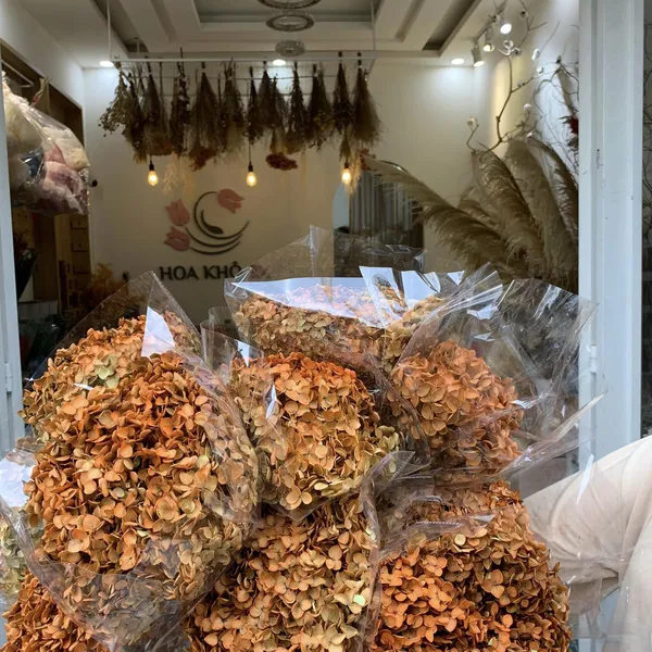CẨM TÚ CẦU