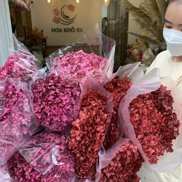 CẨM TÚ CẦU