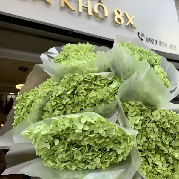 CẨM TÚ CẦU