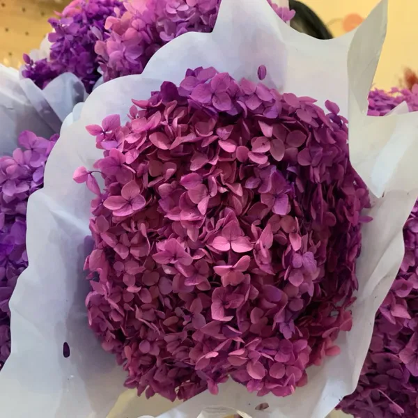 CẨM TÚ CẦU