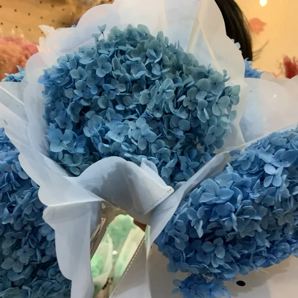 CẨM TÚ CẦU