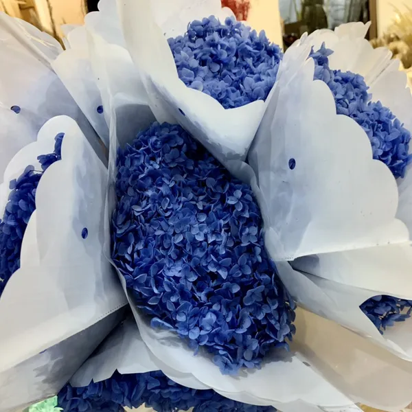 CẨM TÚ CẦU